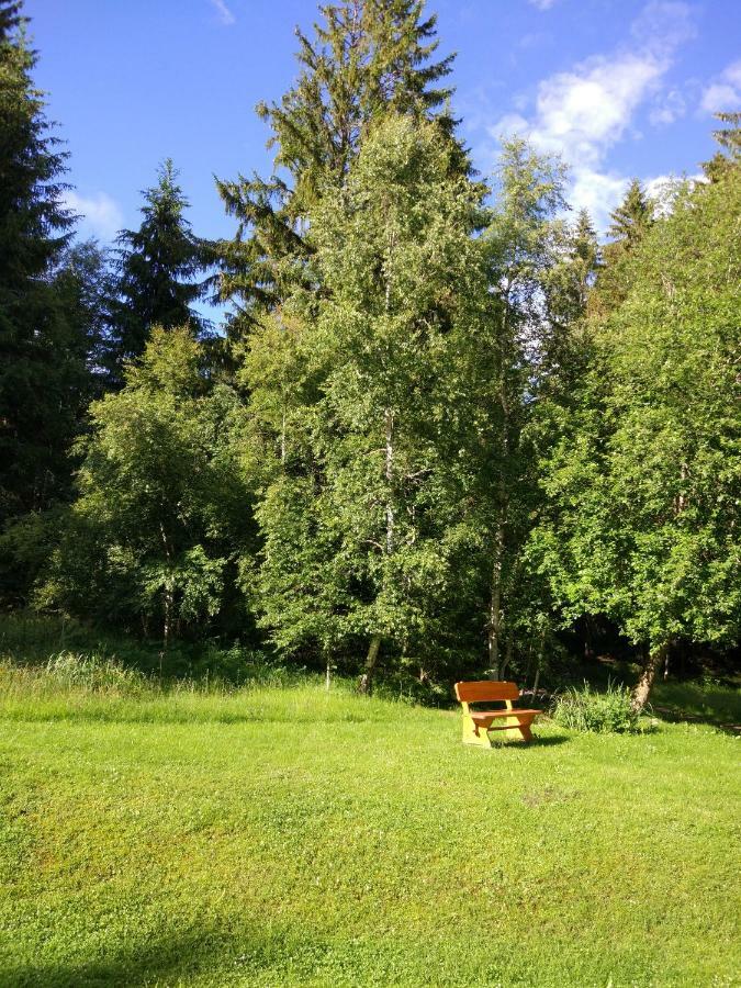 Black Forest Bollenhut Deluxe Lenzkirch Exterior foto
