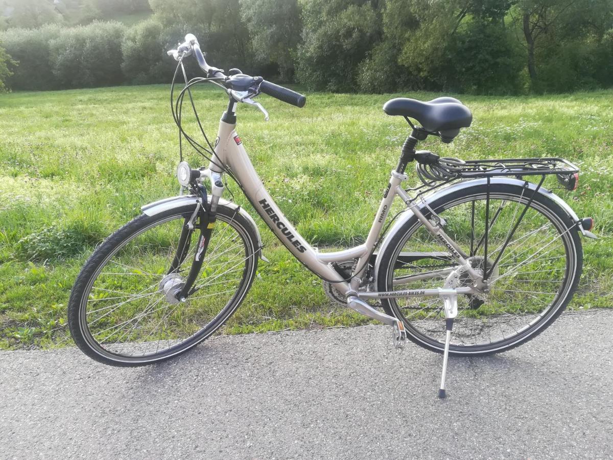 Black Forest Bollenhut Deluxe Lenzkirch Exterior foto